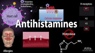 Histamine and Antihistamines Pharmacology Animation [upl. by Milton]