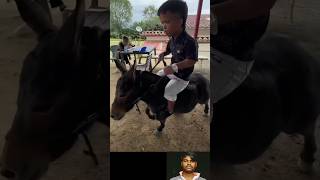 Chota donki 🐴🐴🐴  Respect 💯  shorts [upl. by Edyaw]