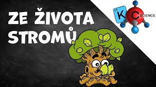 Ze života stromů [upl. by Amerigo]