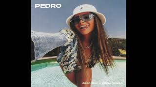 Pedro Pedro Pedro Techno Remix  SPED UP [upl. by Lan]