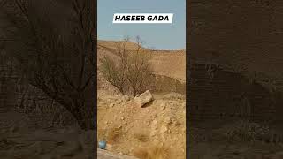 Jo rasta hamara HASEEB GADA  JO reels song love viral [upl. by Candida852]