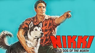 Nikki Wild Dog of the North 1961 Disney Film  Review [upl. by Conrad274]