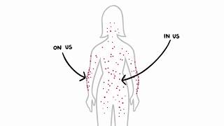 Get To Know Your Microbiome  Short Length [upl. by Anirroc]