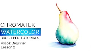 Watercolor Brush Pen Tutorials by Chromatek Beginner Vol01 Lesson 02 [upl. by Salazar832]