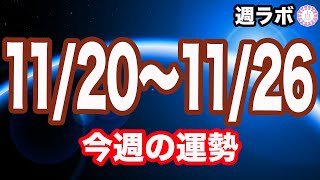 勢い余って飛び出し注意！？今週の一言アドバイスも！✨【週刊占いラボレター 1120〜1126】 [upl. by Kcirrag]