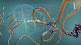 3D Genomics 101 [upl. by Ribak]