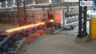 40 TPH Side Dicharge Pusher Furnace by means of Pinch Roll [upl. by Oraneg563]