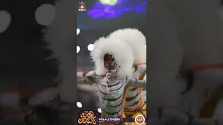 Puraldappena mokeda bollilu polali tigers pili pilinalike kudla tulunadu shorts viralvideo [upl. by Greenes650]