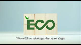 EcoMamoni Environmental Group Company Introduction [upl. by Jenness696]