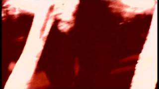 Amon Tobin  Bloodstone Official Video [upl. by Ruperta647]