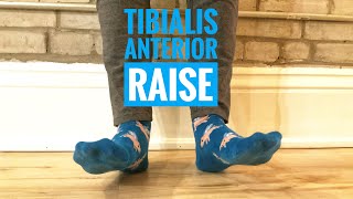 Tibialis Anterior Raise [upl. by Hazlip]