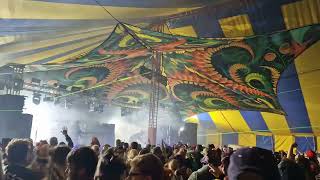 a little trip down the rabbit hole at Mucky Weekender 2024 [upl. by Adnaval529]