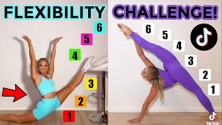 FLEXIBILITY TIK TOK CHALLENGE TWIN VS TWIN [upl. by Ahsya224]