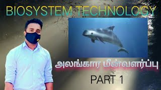 Biosystem Technology Practical  அலங்கார மின் வளர்ப்பு  பகுதி 1 [upl. by Blackstock]