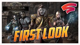 Elder Scrolls Online Google Stadia Gameplay  First Look  MMORPG On The GO [upl. by Raine]