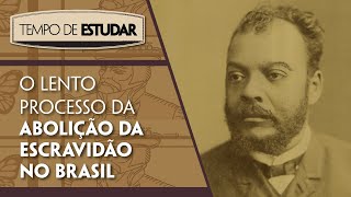 O lento processo da abolição da escravidão no Brasil l Tempo de Estudar  História  8º ano [upl. by Osicnarf]