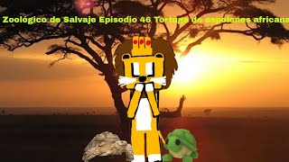 Zoológico de Salvaje Episodio 46 Tortuga de espolones africana [upl. by Nannerb]