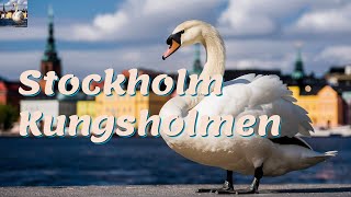 Exploring Stockholm Kungsholmen Island on a Budget A Stockholm vlog in Sweden 4K sweden stockholm [upl. by Aicnelev]