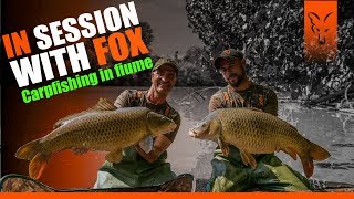 In Session con Fox – Carpfishing in fiume [upl. by Attevroc]