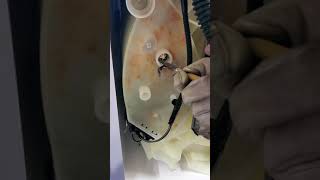 Cabrio Whirlpool washer drain plug removal [upl. by Soni263]