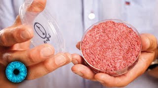 Fleisch aus dem Labor  Essen der Zukunft Gesünder und nachhaltiger [upl. by Nedarb]