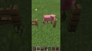 I like honesty sometimes minecraft minecraftcottage minecraftstreamer minecraftstream mod [upl. by Akemhs]