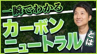 カーボンニュートラルとは？脱炭素との違いや企業に期待する取組みをわかりやすく解説 [upl. by Alburg]