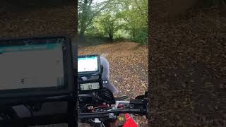 transeurotrail riding on a CRF 300 Rally [upl. by Eneroc]