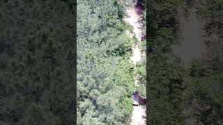 exploring dirt roads in Georgia in an old farm truck [upl. by Slavin]