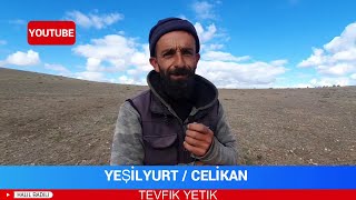 YEŞİLYURTCELİKAN  TEVFIKTAFO YETİK [upl. by Eceinehs976]