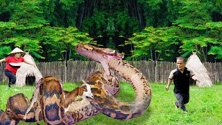 Dwarf family Primitive Life Giant python attacks goat  Mountain VN girl gives a flock of ducks [upl. by Eelano]