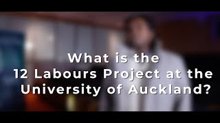 What is the 12 Labours Project at the University of Auckland [upl. by Ecniv985]