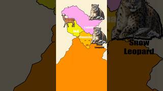 State Animals of North Indian states youtubeshorts [upl. by Doowron763]