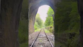 Draisinenfahrt Überwaldbahn  Tagesausflug von FrankfurtRheinMain  Mörlenbach Waldmichelbach [upl. by Arlynne224]