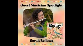 Sarah Bellows  Blue Jay Album Musician Spotlight [upl. by Notrub68]