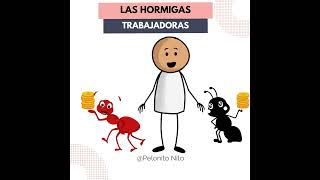 LAS HORMIGAS [upl. by Iaj]