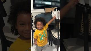 Qairo meets the Cat 🐱 babyvideos toddlermoments toddlers animalsounds funny funnyvideo cute [upl. by Kimberlyn]