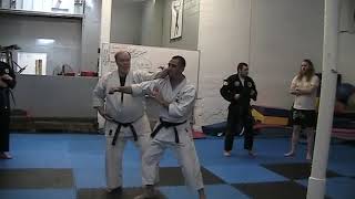 2016 14 Grandmaster Danny Glover Teaching Isshin Ryu Karate [upl. by Elleved]