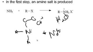 Preparation of Amines [upl. by Norvol]