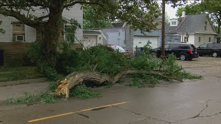 Trees fall in Toledo as region feels remnants of Helene [upl. by Kristof]