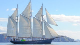 Discover Blue Clipper  Ship Tour [upl. by Bent]