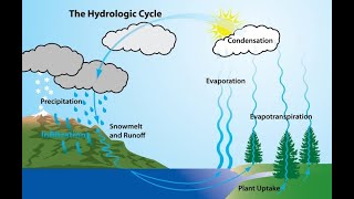 Understanding the Hydrological Cycle A Deep Dive [upl. by Eldwen]