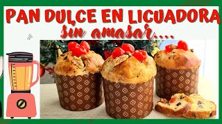 PAN DULCE en LICUADORA Sin Amasar En minutos [upl. by Armelda]