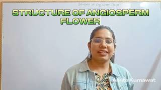 microspore and megaspore of angiospermsbiology neet 2024 neetaspirants amita kumawat [upl. by Mario]