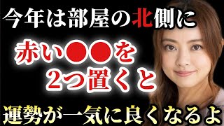 【星ひとみ】※今年は部屋の北側に赤やピンク色の○○を２つ偶数置くと人間関係や恋愛運などの運勢が一気に良くなります。そして今年評価される人の特徴は…「心の浄化 天星術」 [upl. by Meuser]