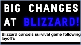 Reacting to The Huge Changes at Blizzard Entertainment [upl. by Hserus]