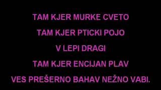 Karaoke  Avseniki  Tam Kjer murke Cveto [upl. by Inus]