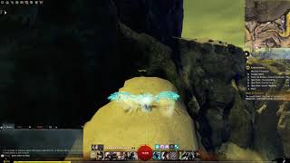 Guild Wars 2 Open Skies The Desolation collection  Mottled Canyon Griffon Egg [upl. by Mary]