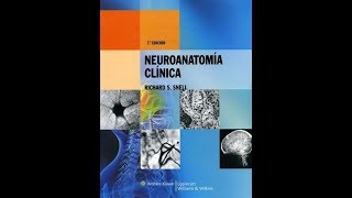 Neuroanatomia Clinica Snell 7 ed PDF Mega [upl. by Acissey327]