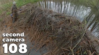 Manual Beaver Dam Removal No108  Collapsing Beaver Dam  Second Camera [upl. by Orenid]